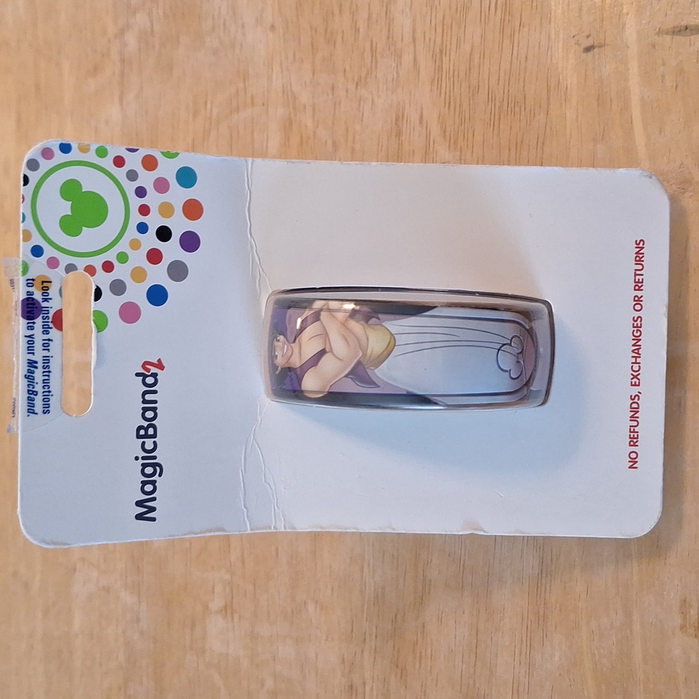 Disney Aladdin Magicband 2 NWT